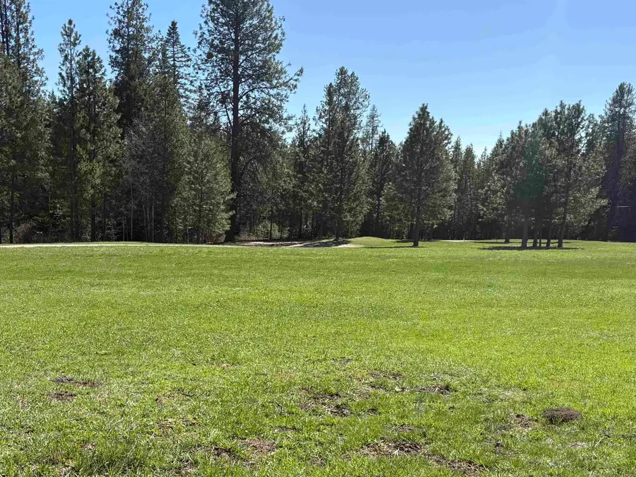 280 Brook Dr, Elk, WA 99009 - #2
