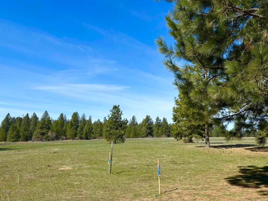 200 Brook Dr, Elk, WA 99009 - #2