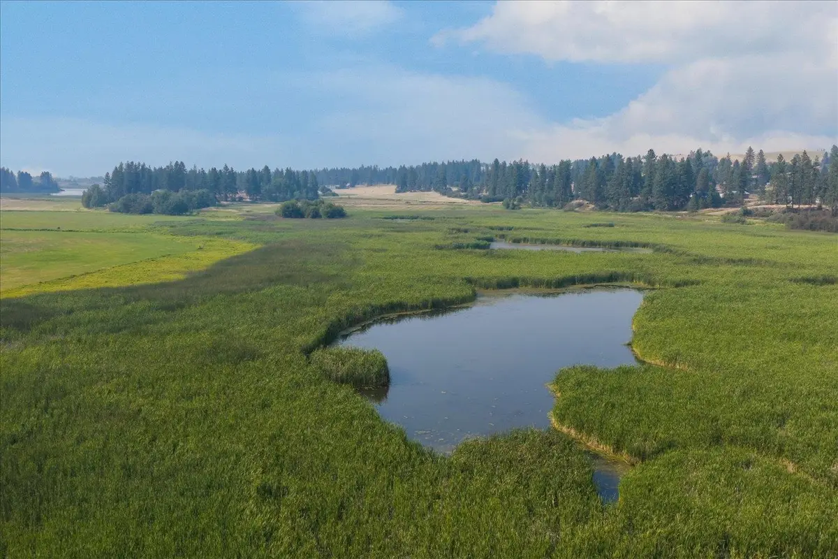 0000 S Murphy Rd, Cheney, WA 99004 - #1