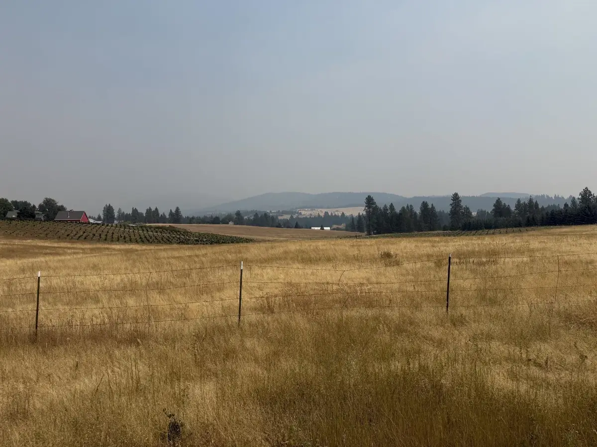 13XXX E Gibbs Rd, Mica, WA 99023 - #1