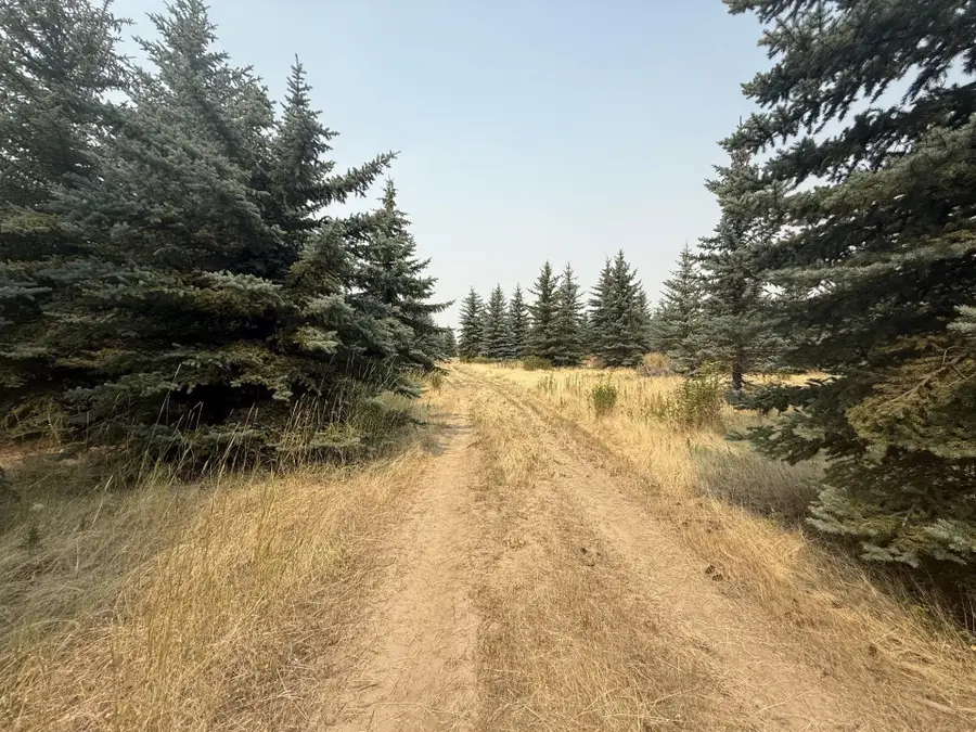 13XXX E Gibbs Rd, Mica, WA 99023 - #2