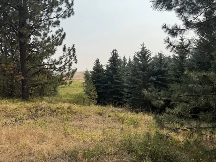 13XXX E Gibbs Rd, Mica, WA 99023 - #3