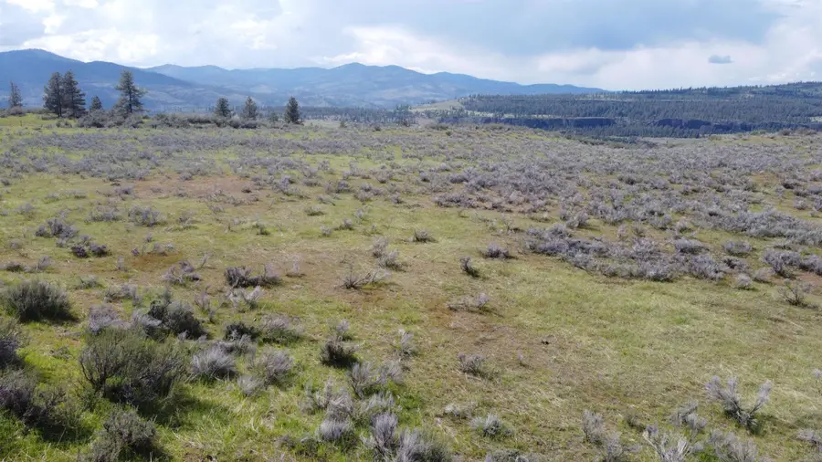 1AXX N 25 Hwy, Davenport, WA 99122 - #3