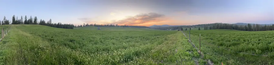 XXXX Rocky Top Way, Deer Park, WA 99006 - #2