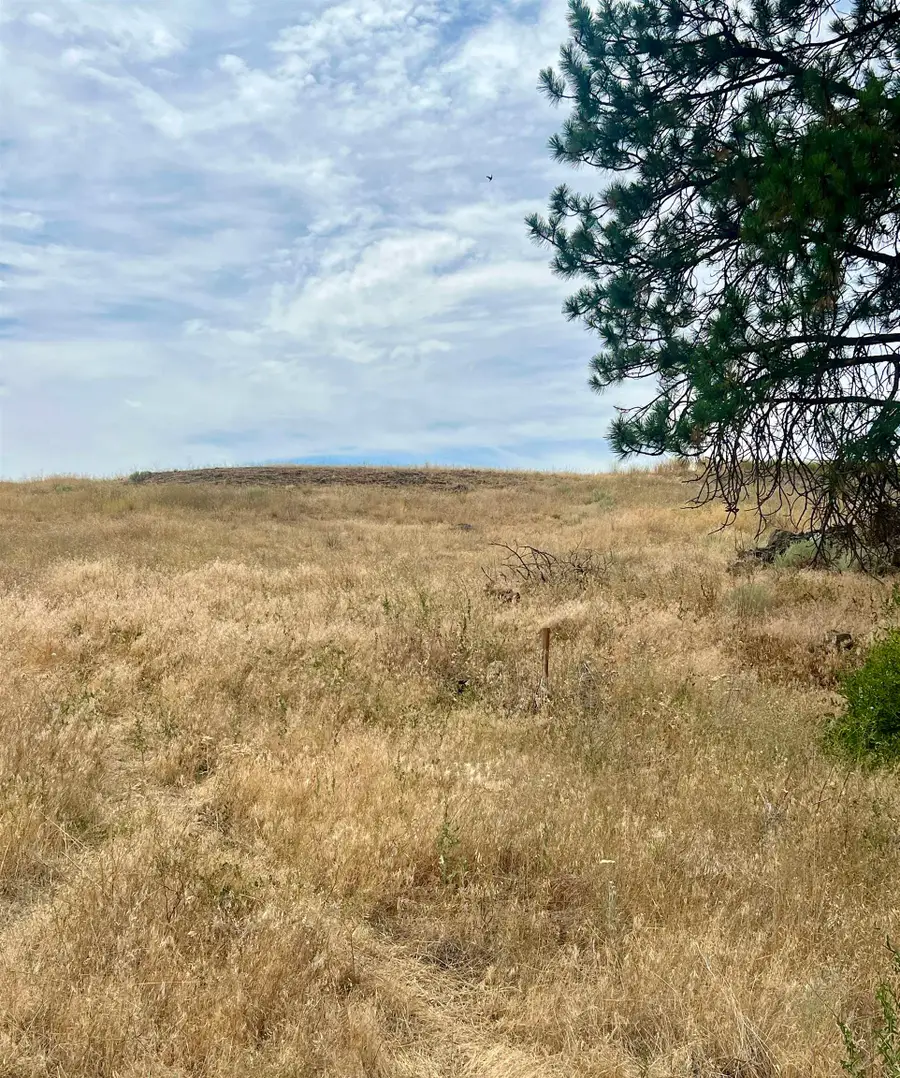402 E Porak St, Sprague, WA 99032 - #3