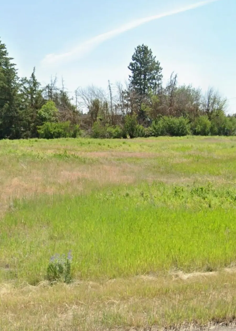 Xxx 8th St St, Davenport, WA 99122 - #3