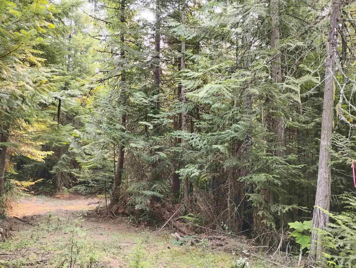 589 Scheller Ln, Usk, WA 99180 - #1