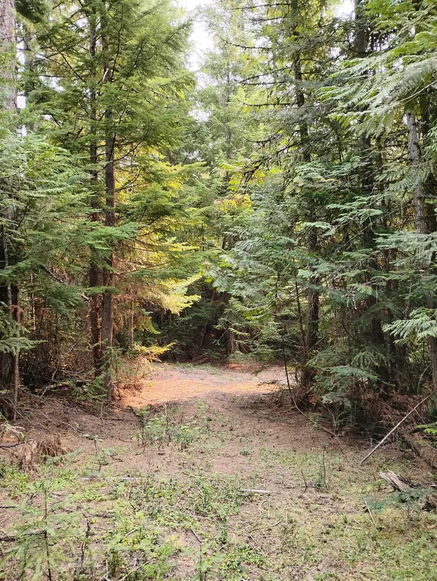 589 Scheller Ln, Usk, WA 99180 - #2
