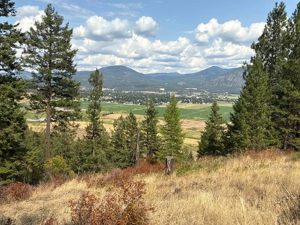 NKA Pine Rose (lot 1) Way, Chewelah, WA 99109 - #1