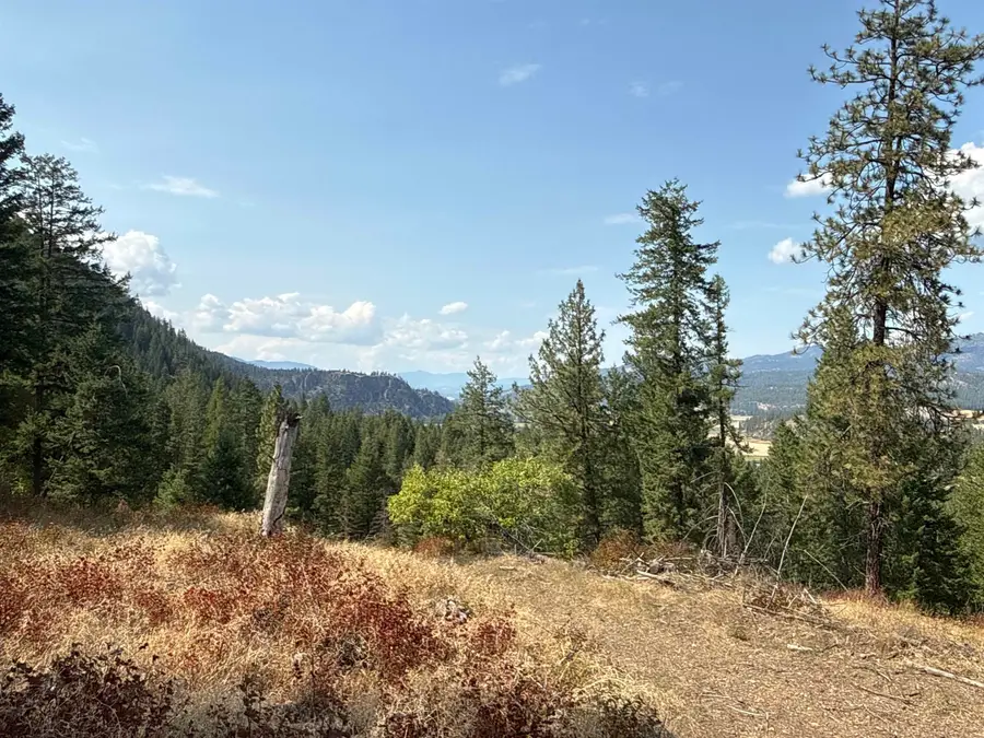 NKA Pine Rose (lot 1) Way, Chewelah, WA 99109 - #2