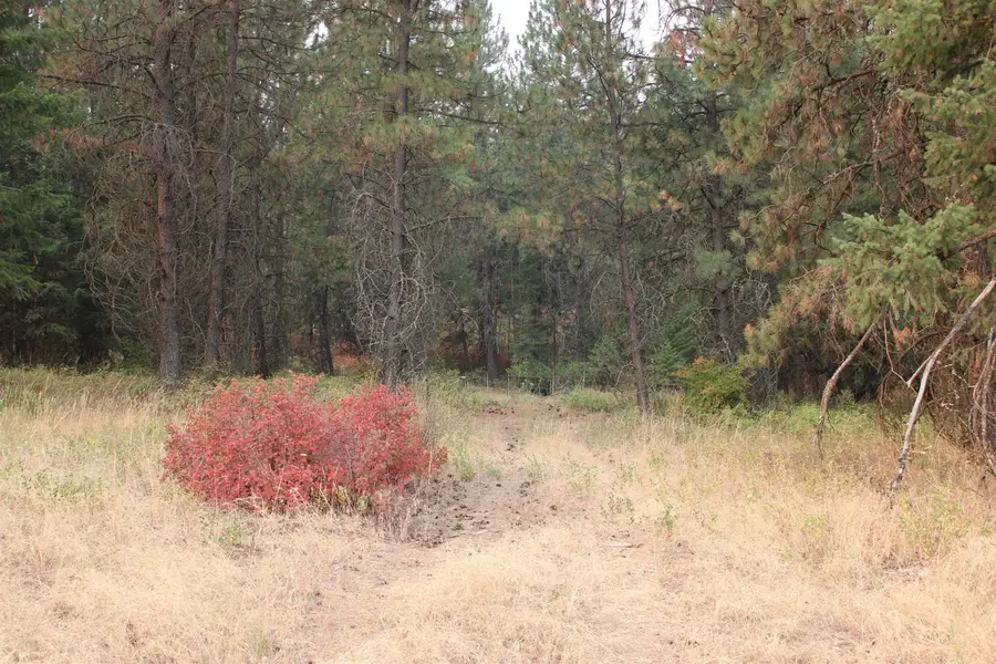 NKA Pine Rose (lot 1) Way, Chewelah, WA 99109 - #3