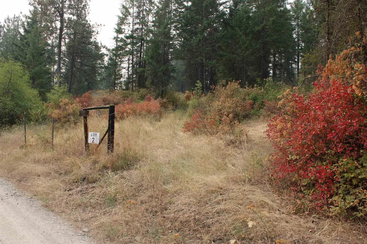 NKA Pine Rose (lot 2) Way, Chewelah, WA 99109 - #1