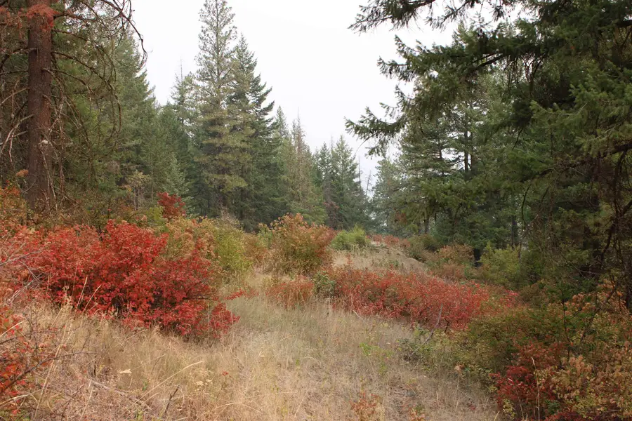 NKA Pine Rose (lot 2) Way, Chewelah, WA 99109 - #2