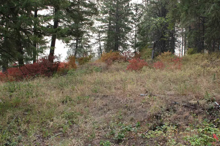 NKA Pine Rose (lot 2) Way, Chewelah, WA 99109 - #3