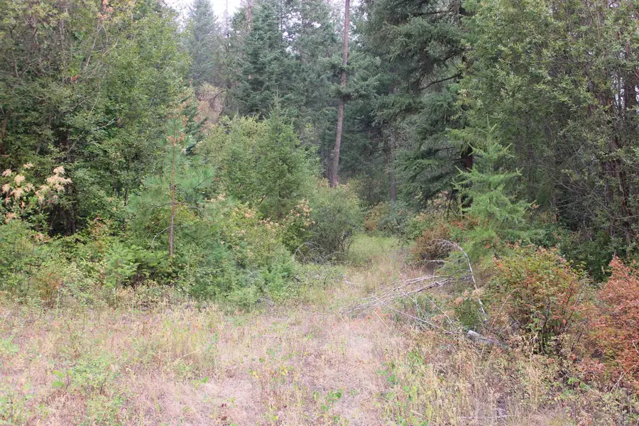 NKA Pine Rose (lot 3) Way, Chewelah, WA 99109 - #2