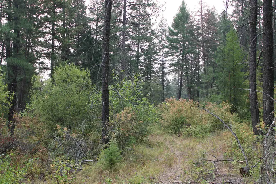 NKA Pine Rose (lot 3) Way, Chewelah, WA 99109 - #3