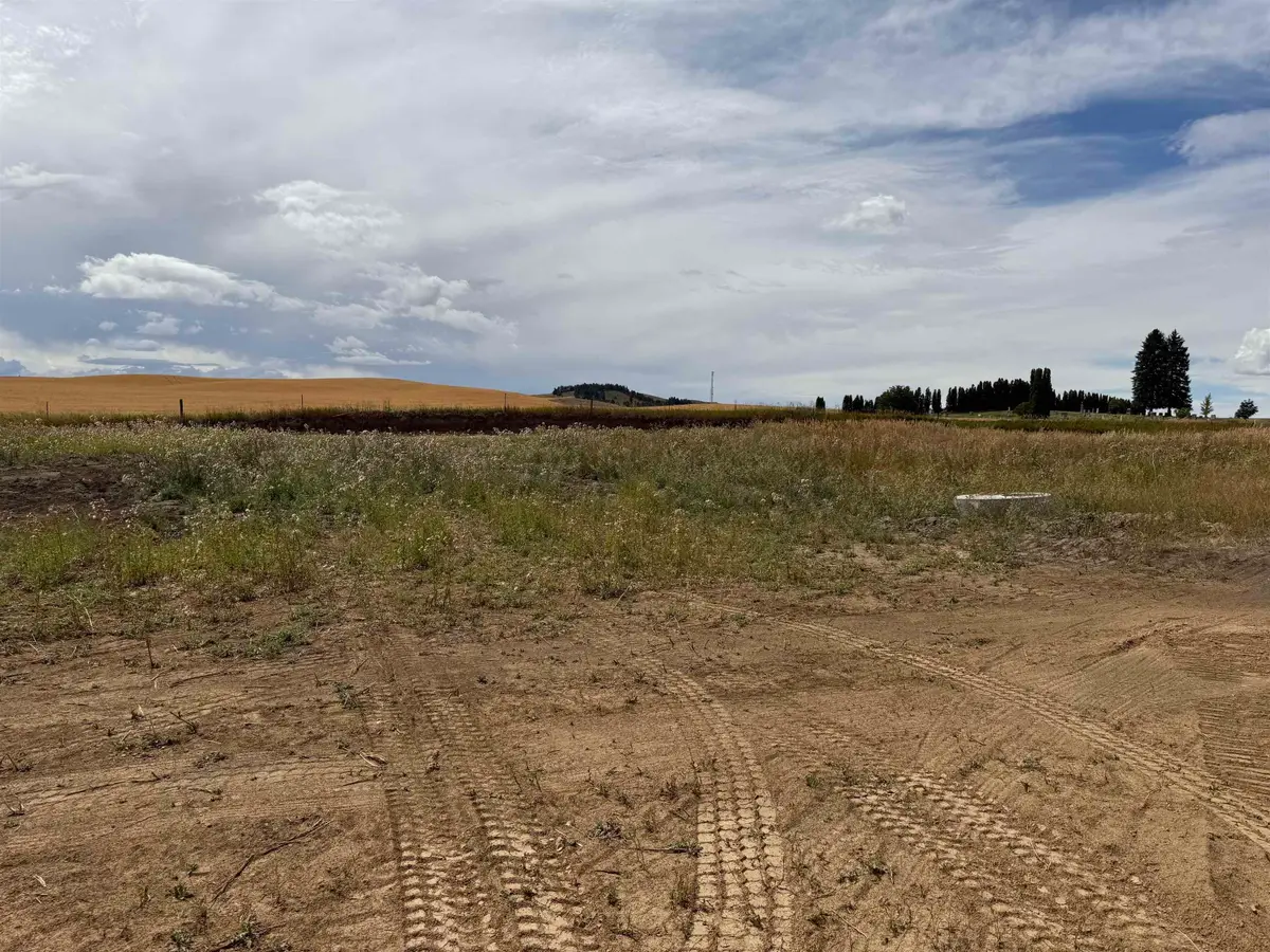 520 Davisadero (lot Only) St, Reardan, WA 99029 - #1