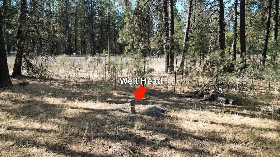 1212 S Brooks Rd, Medical Lake, WA 99022 - #3
