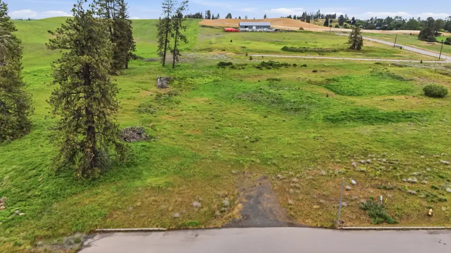 1648 Willow St St, Cheney, WA 99004 - #2