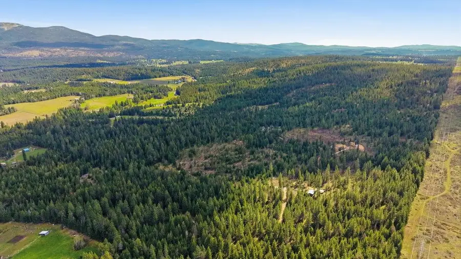 8300 E Lodge Pole Ln, Chattaroy, WA 99003 - #2