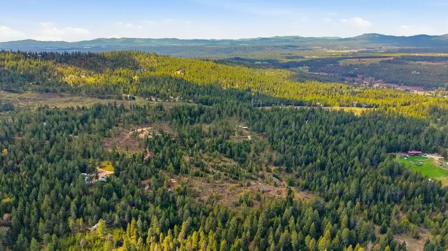 8300 E Lodge Pole Ln, Chattaroy, WA 99003 - #3
