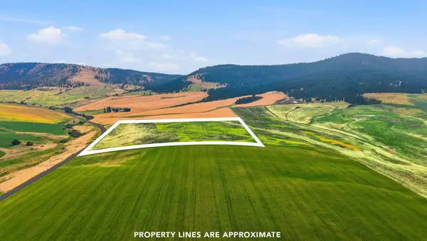 39.5 Acre Lot, Wheeler Rd, Latah, WA 99018