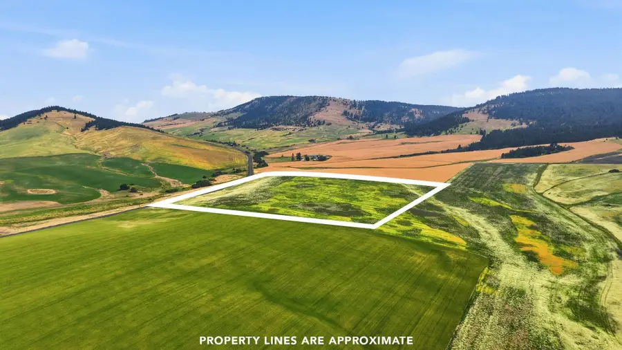 39.5 Acre Lot, Wheeler Rd, Latah, WA 99018 - #2