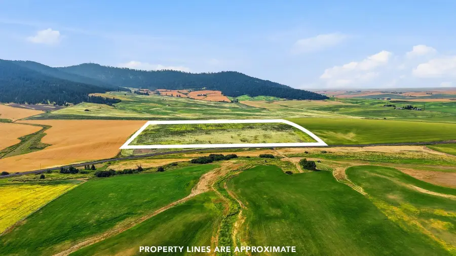 39.5 Acre Lot, Wheeler Rd, Latah, WA 99018 - #3