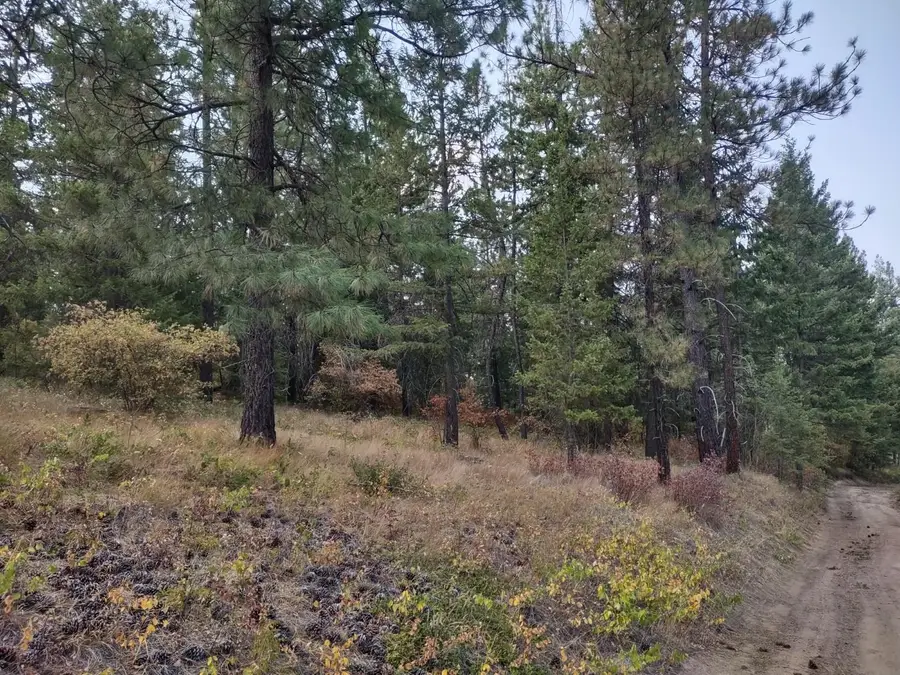 XX Lodgepole Ln, Elk, WA 99009 - #2