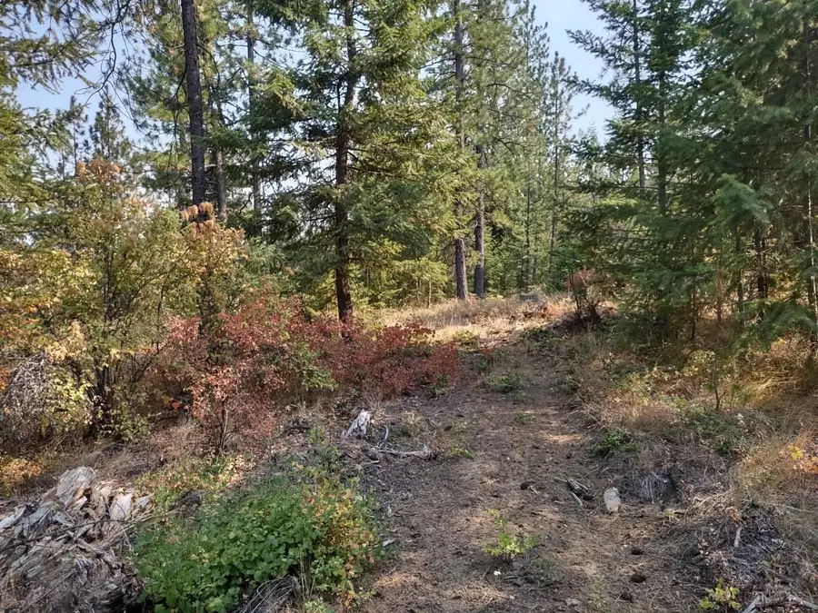 XX Lodgepole Ln, Elk, WA 99009 - #3
