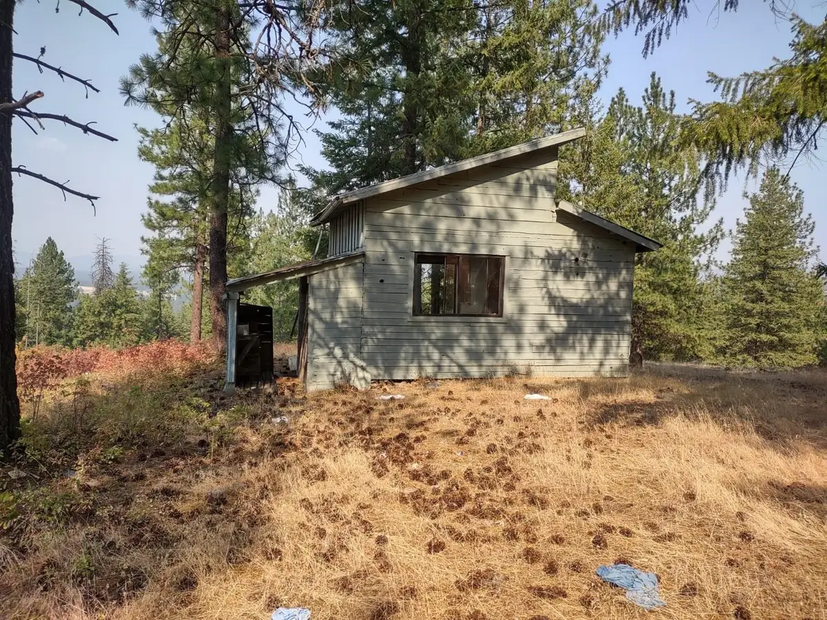 X Lodgepole Ln, Elk, WA 99009 - #1