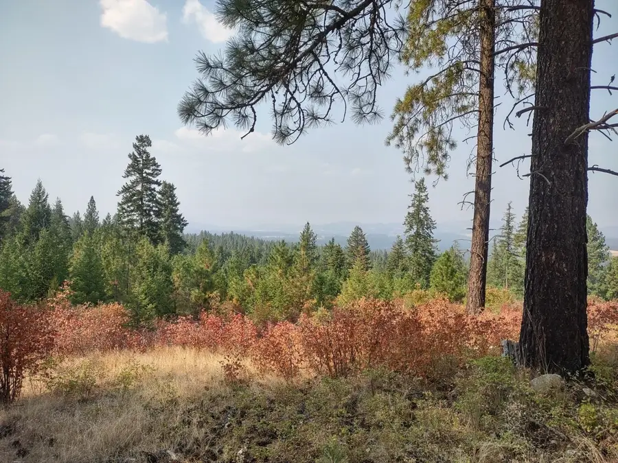 X Lodgepole Ln, Elk, WA 99009 - #2