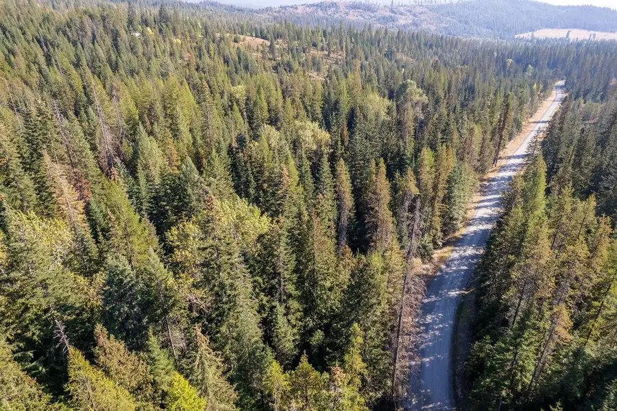 1416 Aspen Creek Rd, Colville, WA 99114 - #3