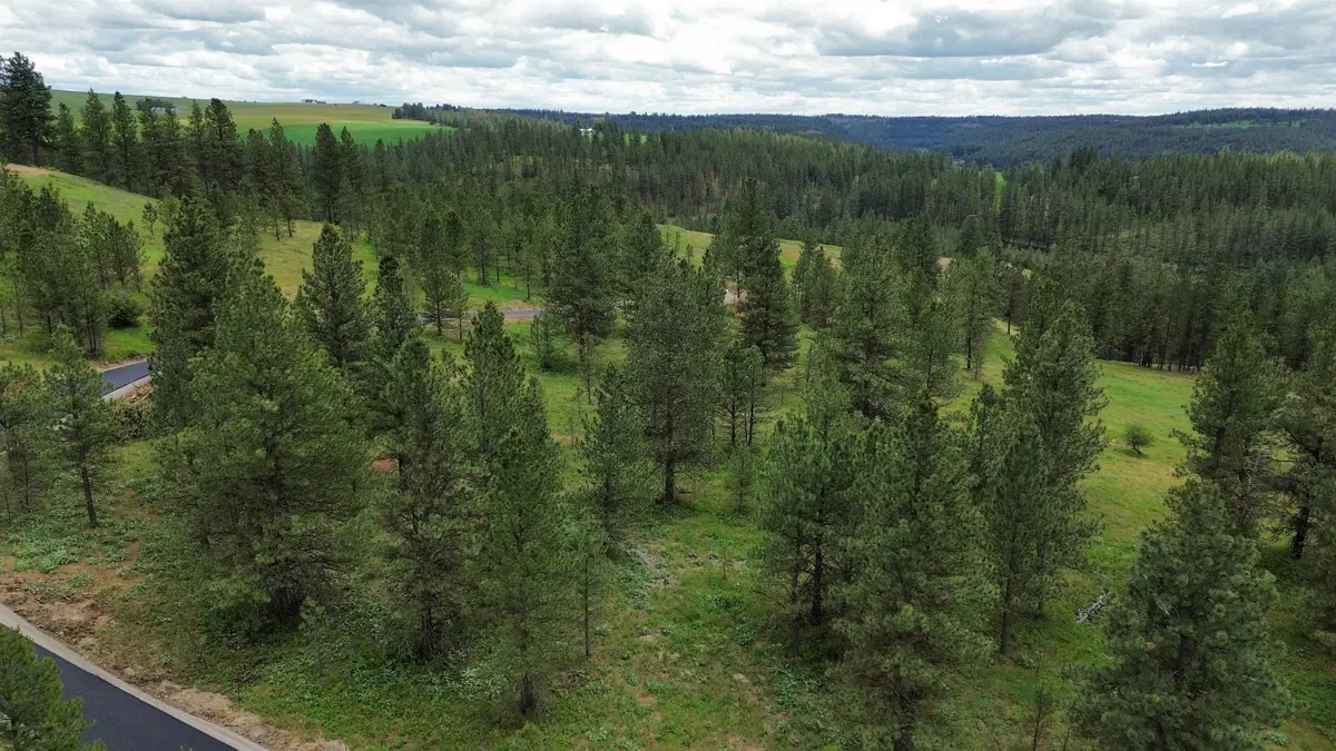 3344 E Balsam Hill Ln, Valleyford, WA 99036 - #1