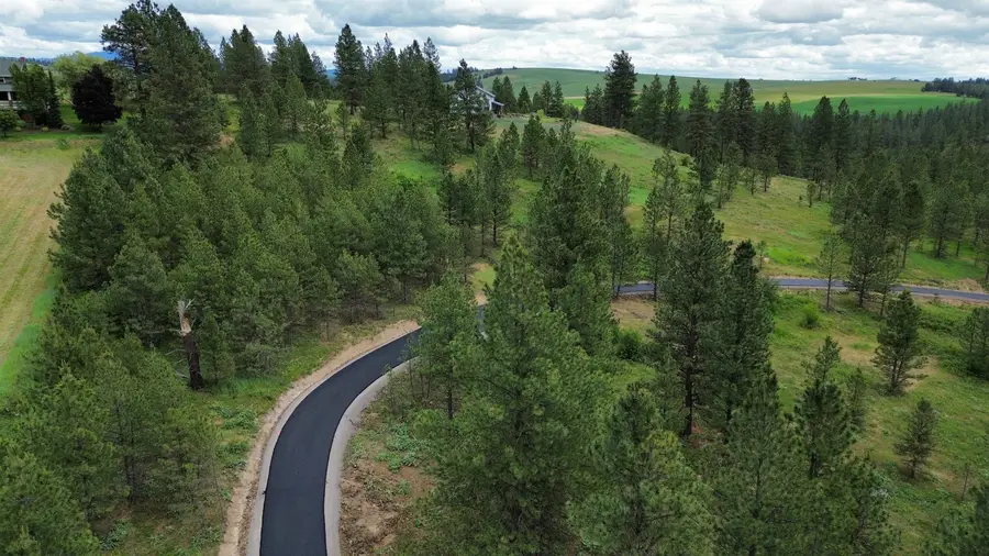 3344 E Balsam Hill Ln, Valleyford, WA 99036 - #2