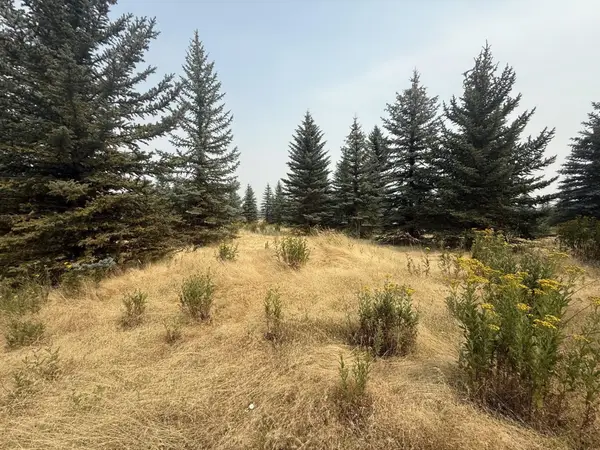 112XX S Spruce Tree Ln, Mica, WA 99023