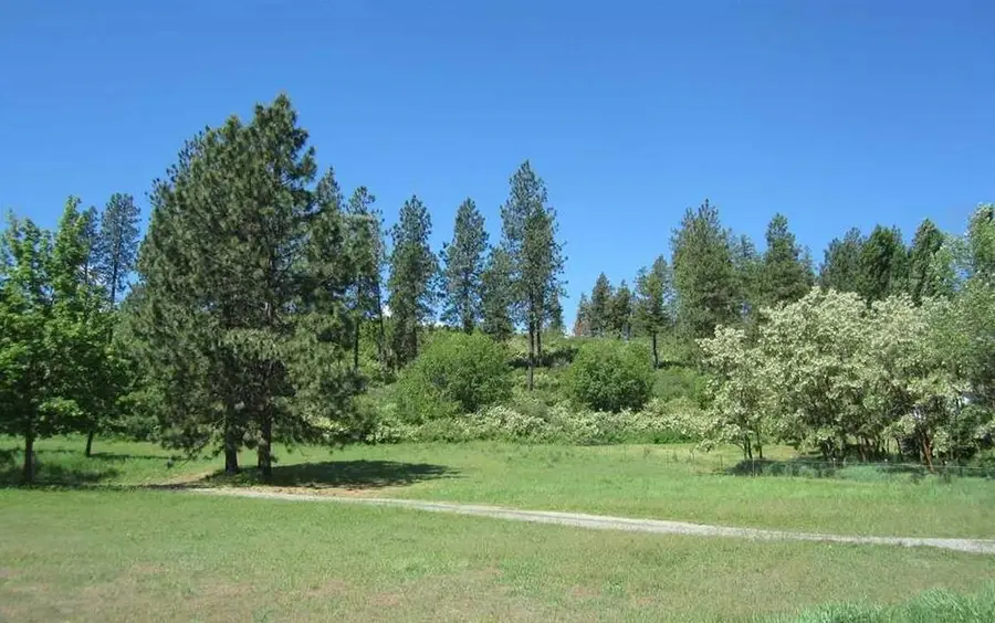 29411 N Dunn Rd, Chattaroy, WA 99003 - #2