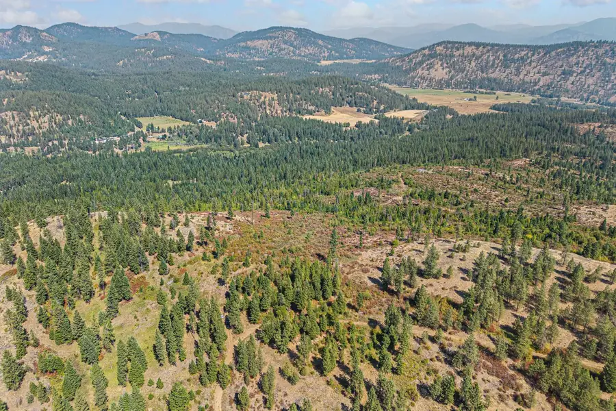 NKA Hoag Rd, Valley, WA 99181 - #2