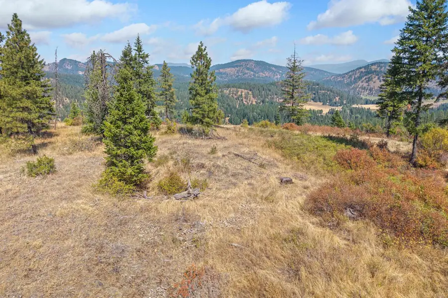 NKA Hoag Rd, Valley, WA 99181 - #3