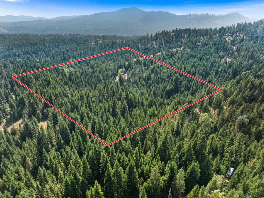 221 Veit Springs Ln, Newport, WA 99156 - #2