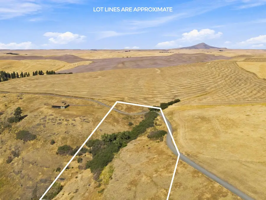 8 Acre Lot Red Tail Ridge Rd, Colfax, WA 99111 - #3