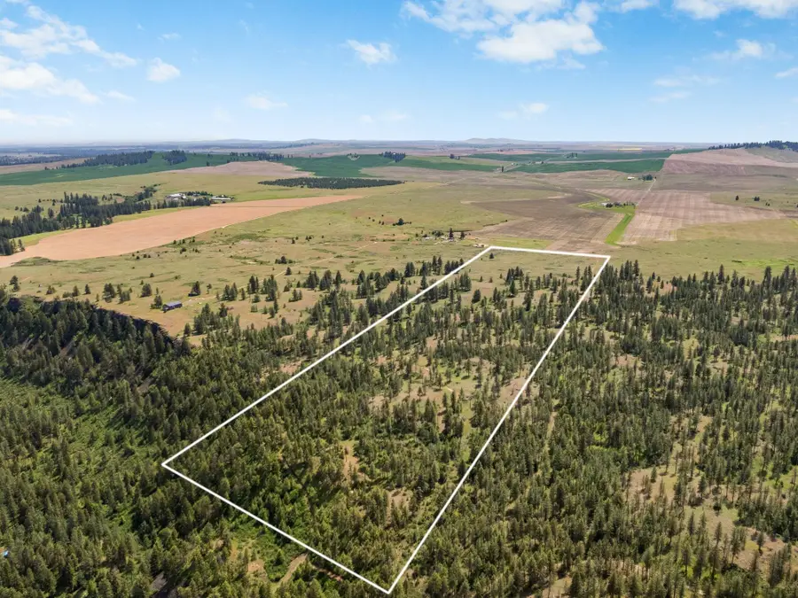 00 W Highland Rd Off Coulee Hite Rd, Reardan, WA 99029 - #3