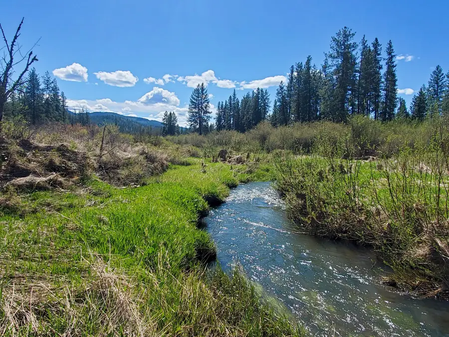 4396 E Highway 231 Hwy, Springdale, WA 99173 - #2