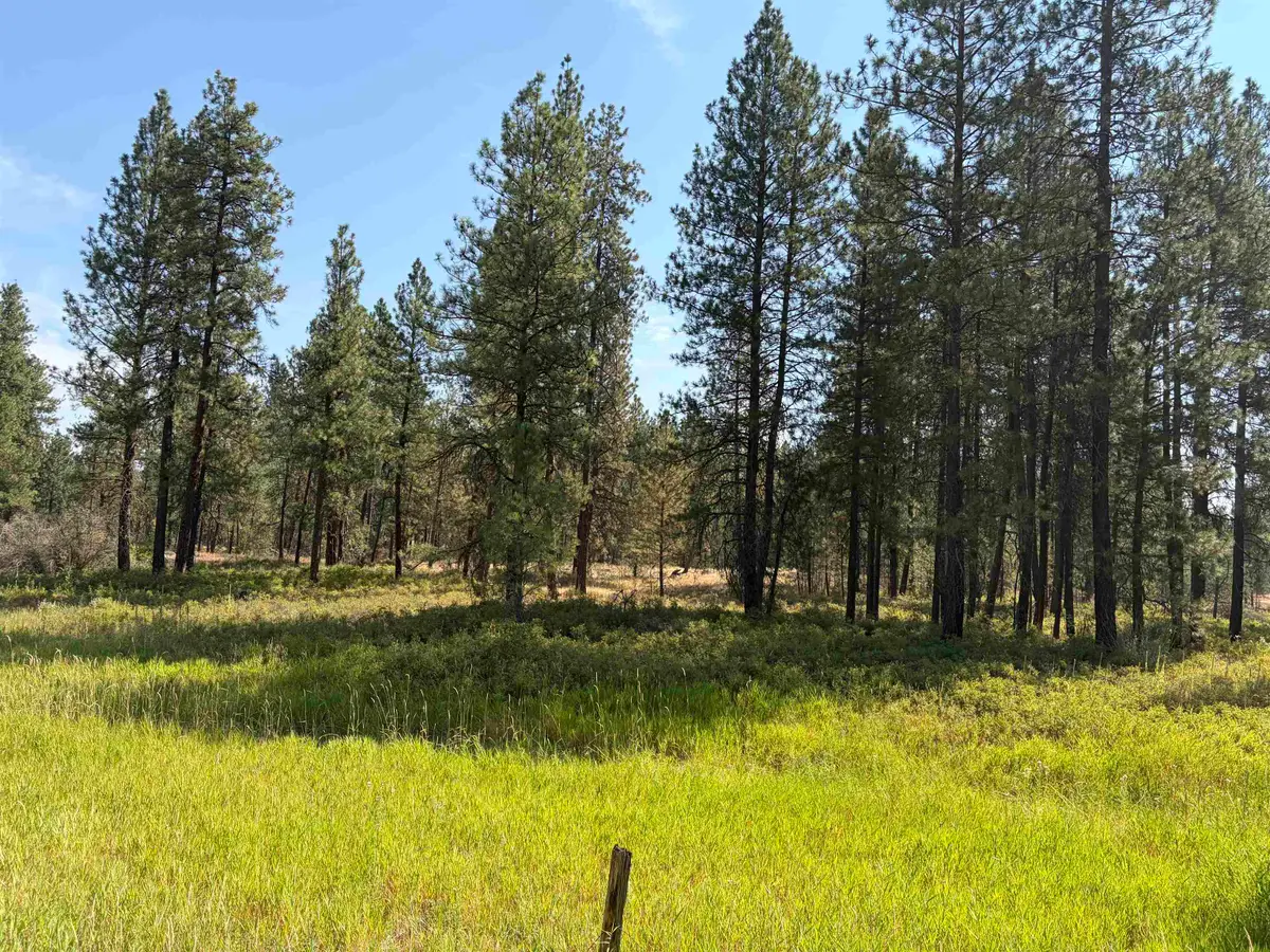 XXXXX S Malloy Prairie Rd, Cheney, WA 99004 - #1