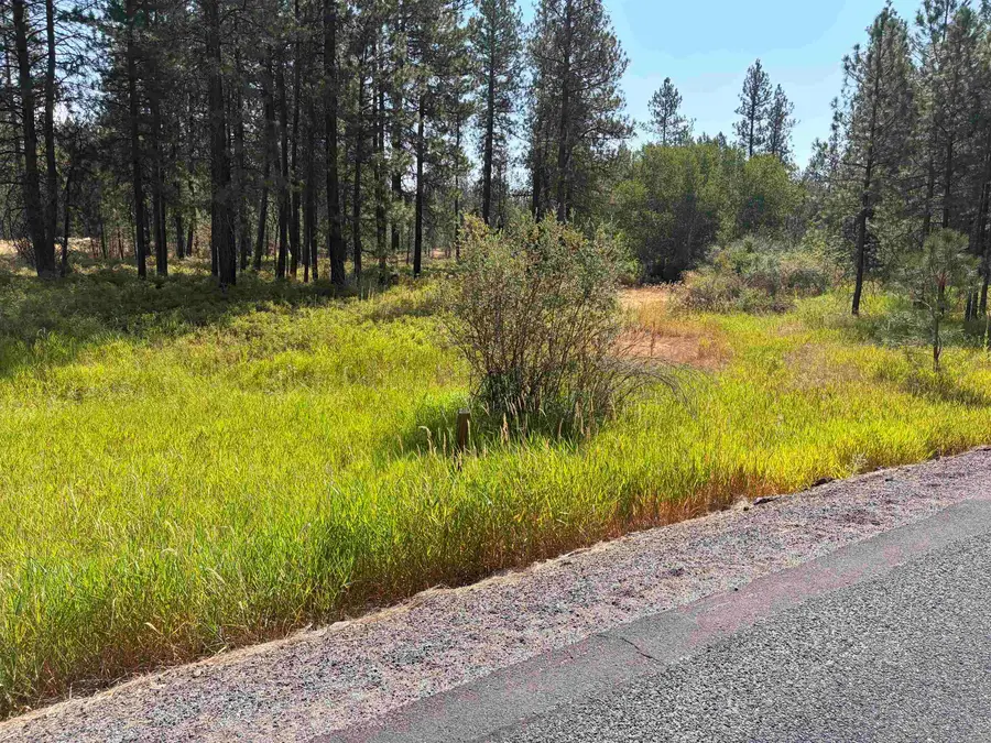 XXXXX S Malloy Prairie Rd, Cheney, WA 99004 - #2
