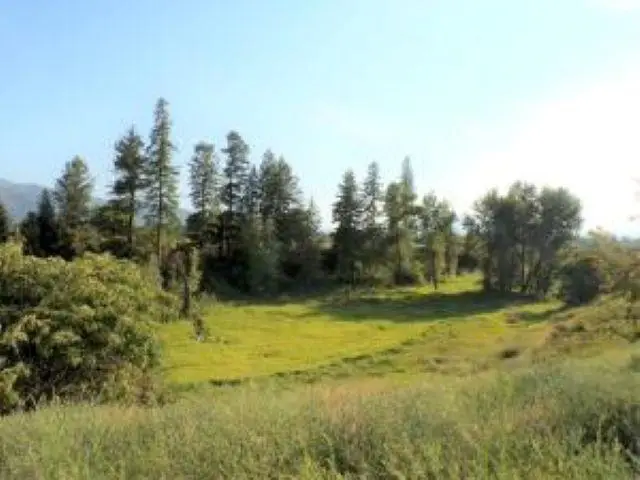 781 H Hwy 395 Hwy, Kettle Falls, WA 99141 - #2