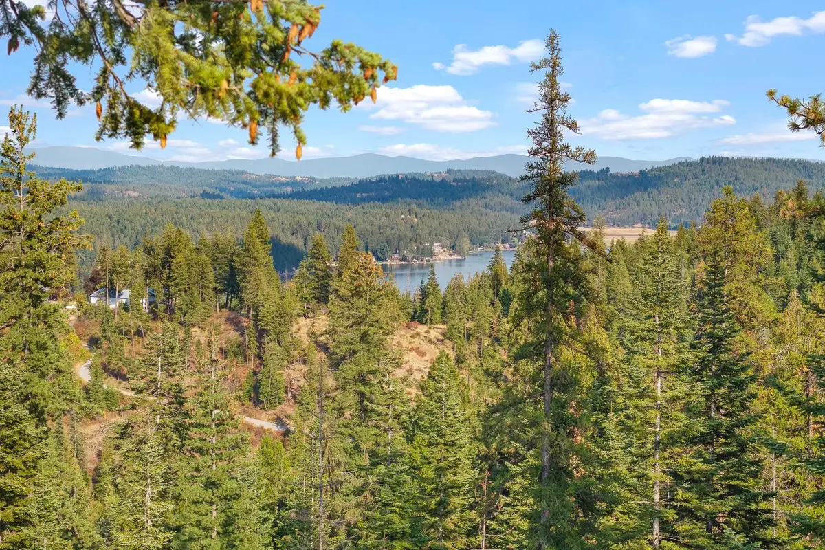 NKA E Temple Rd, Newman Lake, WA 99217 - #1