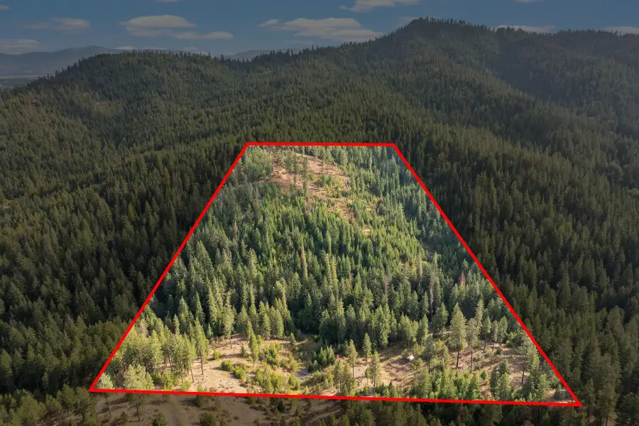 NKA E Temple Rd, Newman Lake, WA 99217 - #3