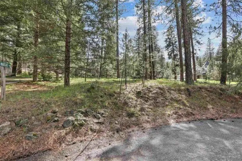 NKA Shelly (parcel # 45354.0514) Ct, Veradale, WA 99037 - #3
