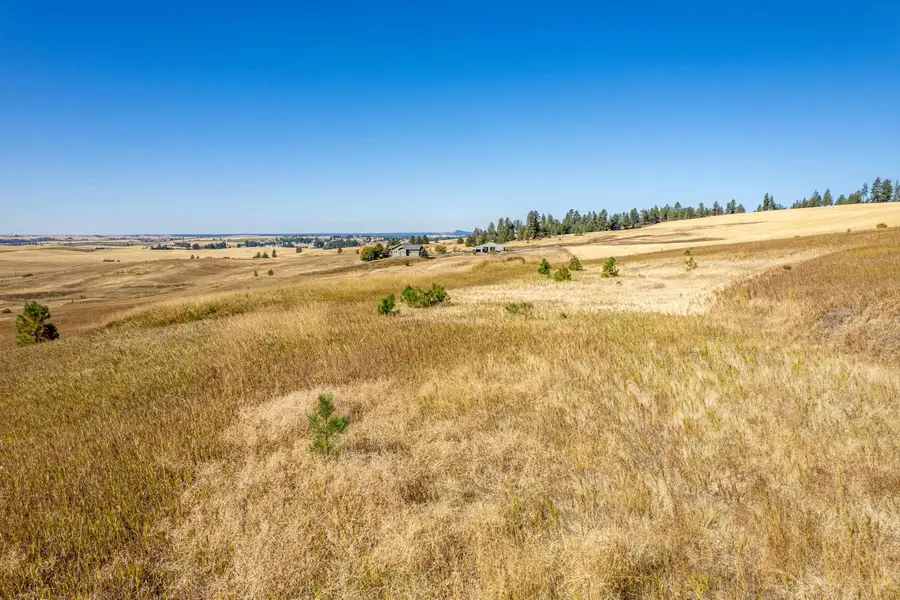 NKA Thunder Mountain Ln, Valleyford, WA 99036 - #2